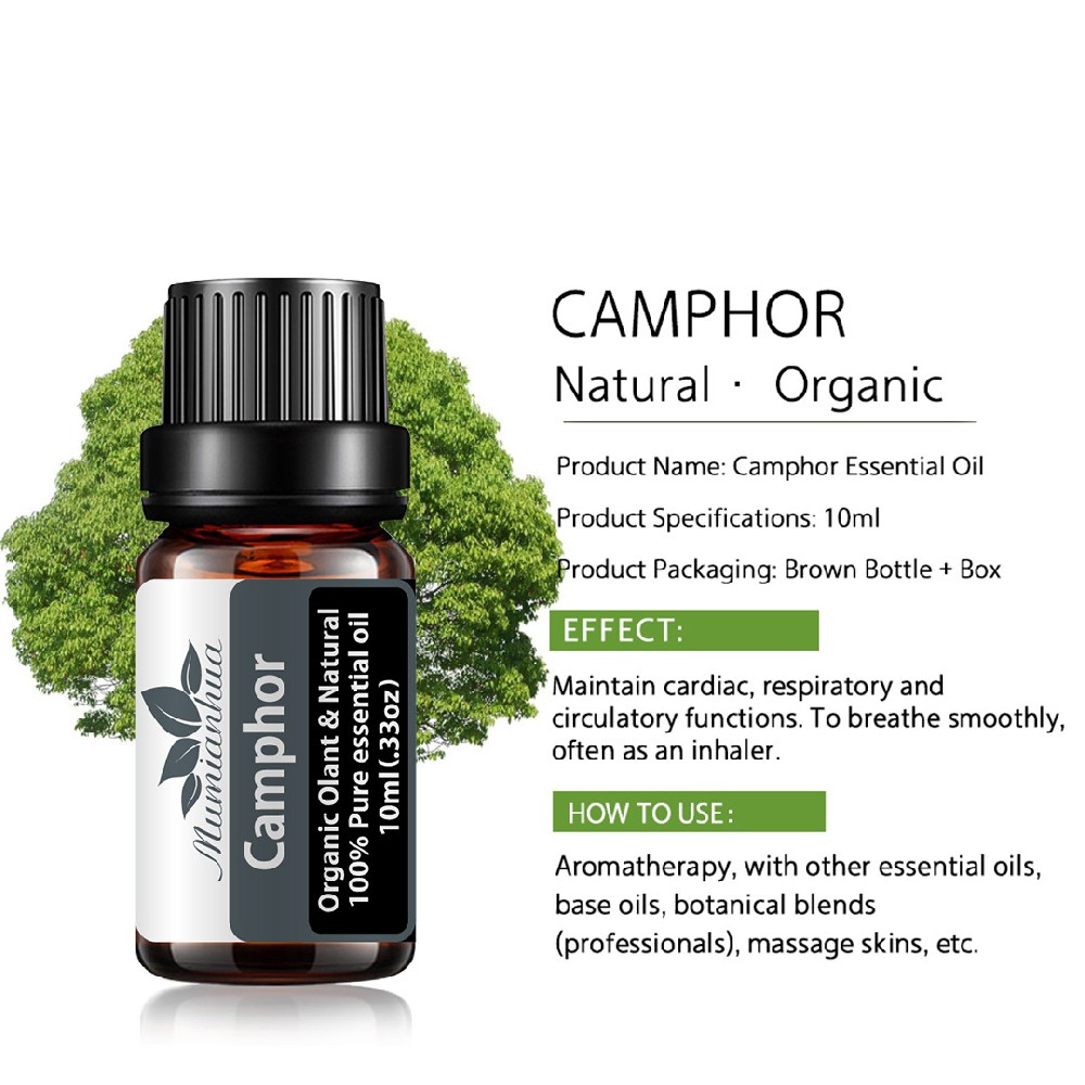 茶树精油加工植物单方茶树精油oem