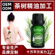 茶树精油贴牌加工 茶树精油oem加工代工  广州赛美 一站式茶树精油贴牌oem 免费打样 提供设计